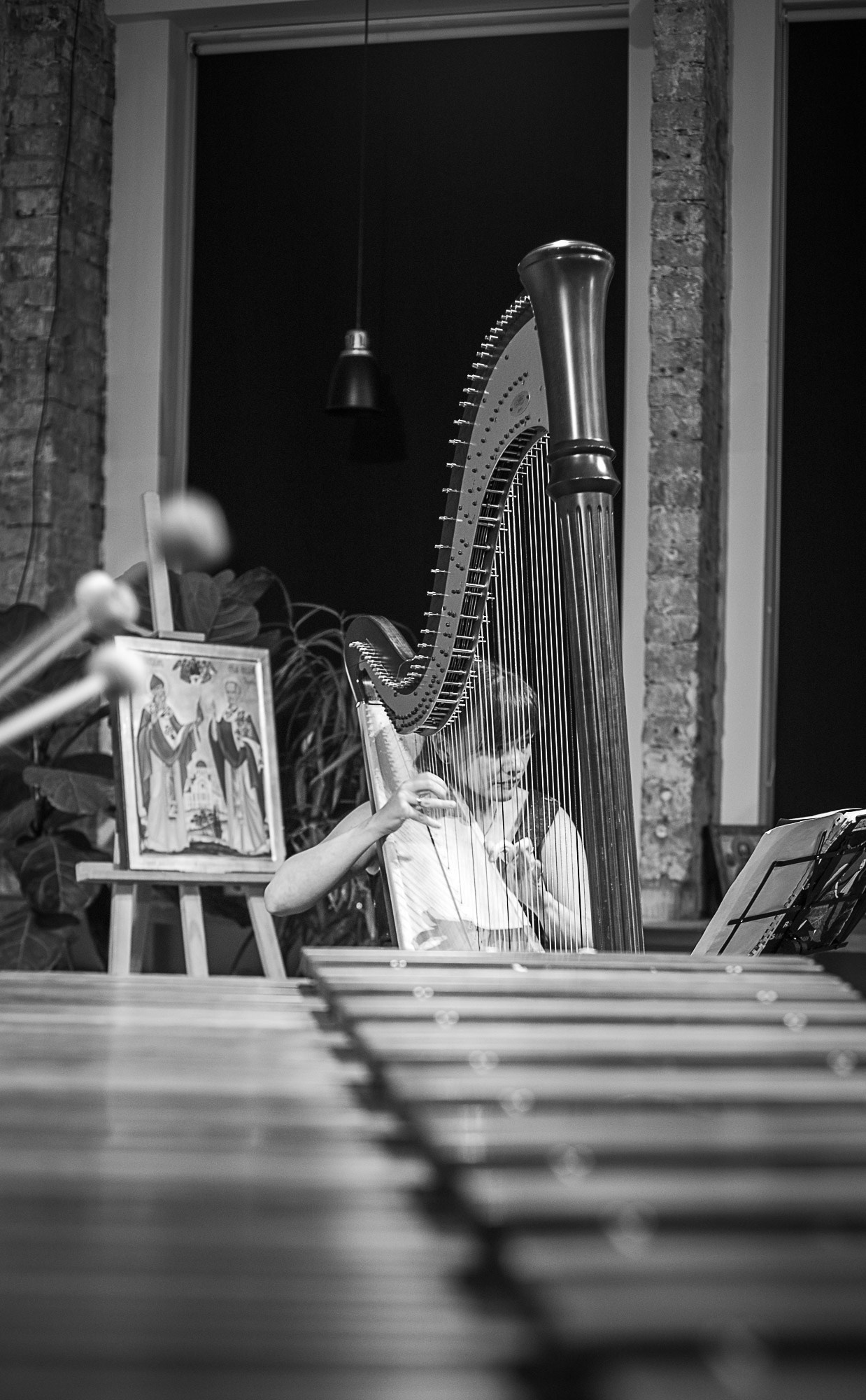 Арфа и маримба. SaGaFOTO.ru