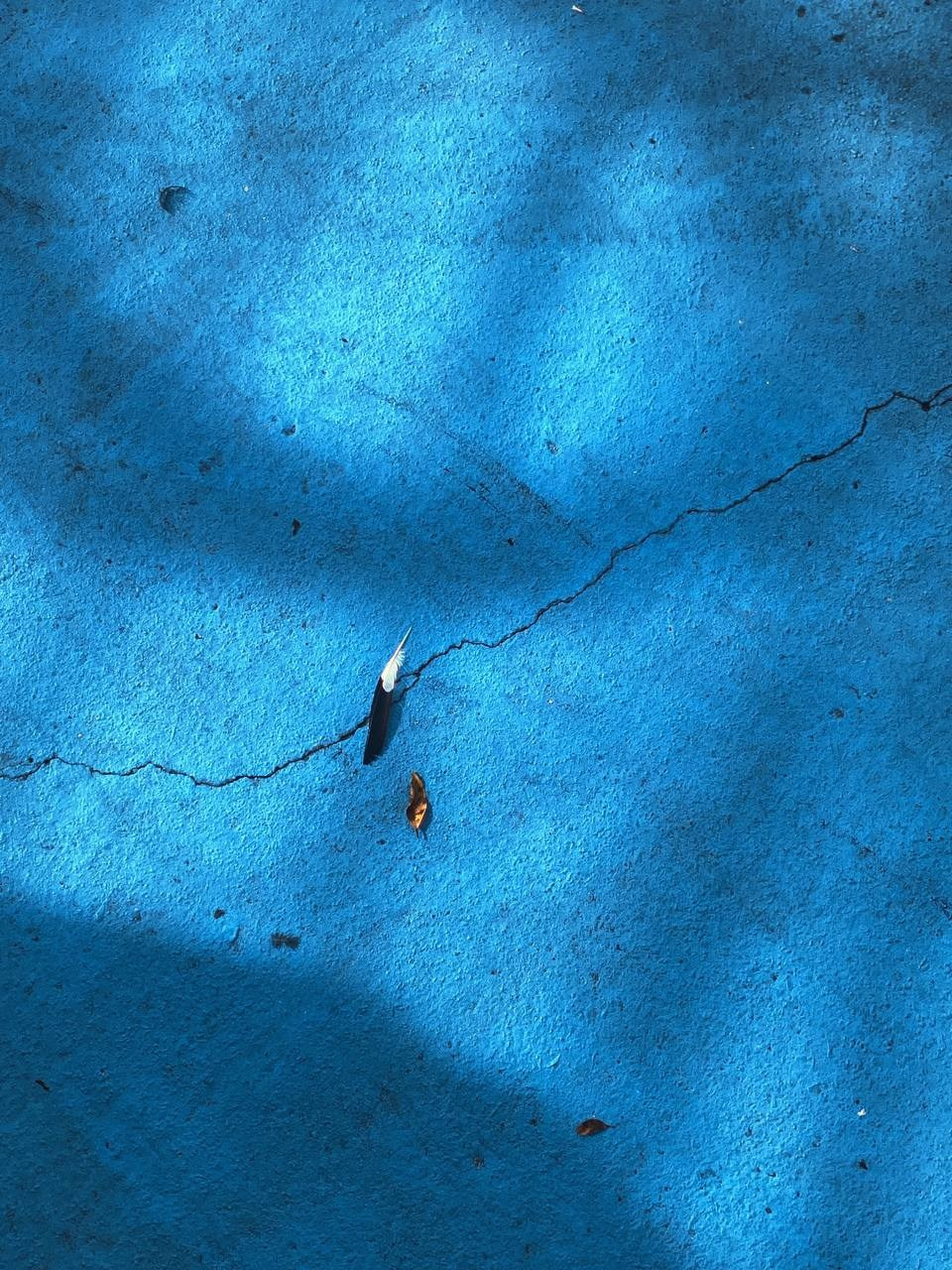 Современная концептуальная фотография о теле, уязвимости и идентичности. Визуальная практика на стиле честности, пост-иронии и искусства.Рекламная фотография, Концептуальная фотография, Современный художник, Психология, Коммерческий фотограф, Репортажный фотограф, Стрит фотография, Арт, Сюрреализм, Мобильная фотография, Снято на айфон, Дима Бурза