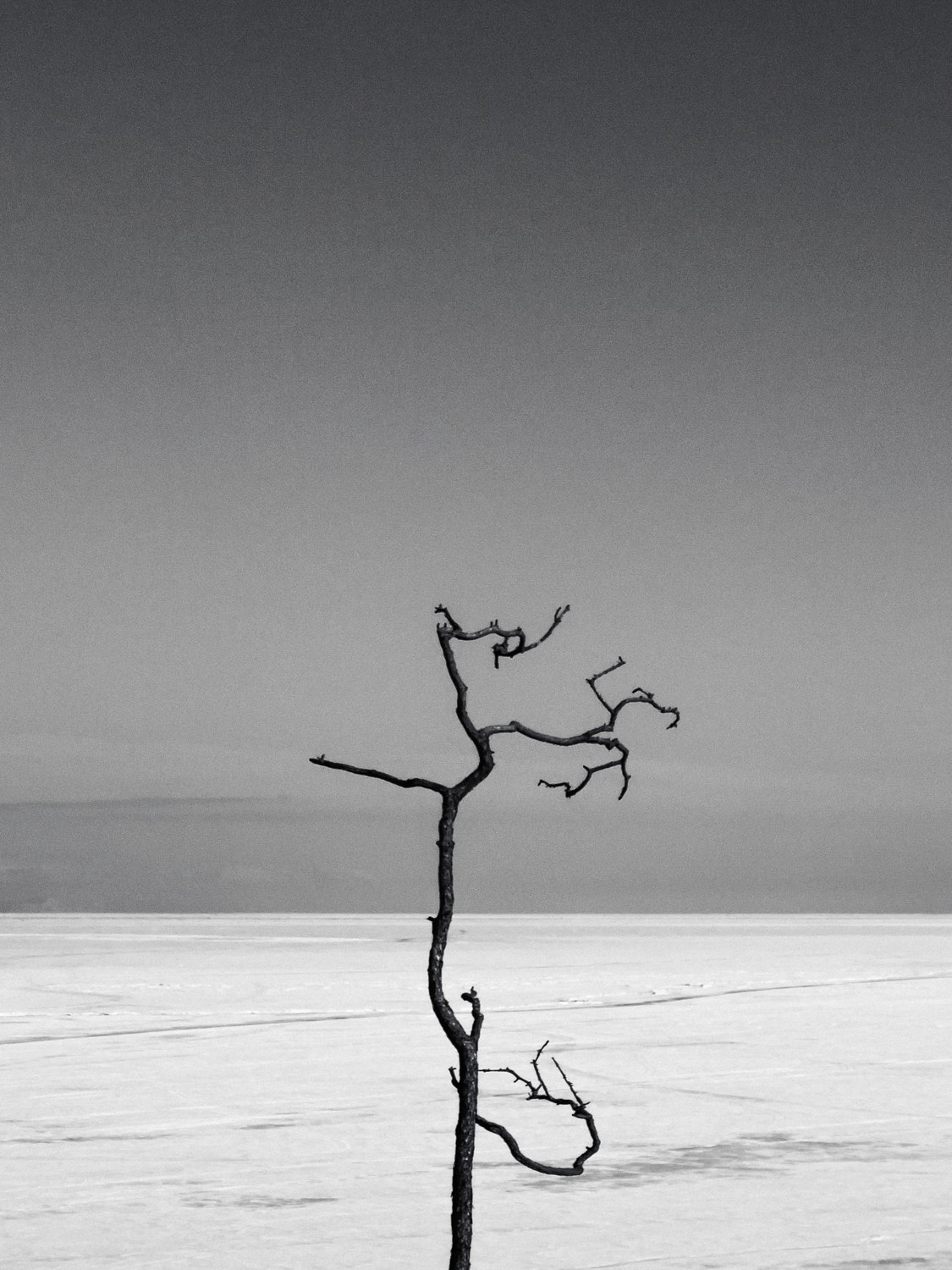 Современная концептуальная фотография о теле, уязвимости и идентичности. Визуальная практика на стиле честности, пост-иронии и искусства.Рекламная фотография, Концептуальная фотография, Современный художник, Психология, Коммерческий фотограф, Репортажный фотограф, Стрит фотография, Арт, Сюрреализм, Мобильная фотография, Снято на айфон, Дима Бурза