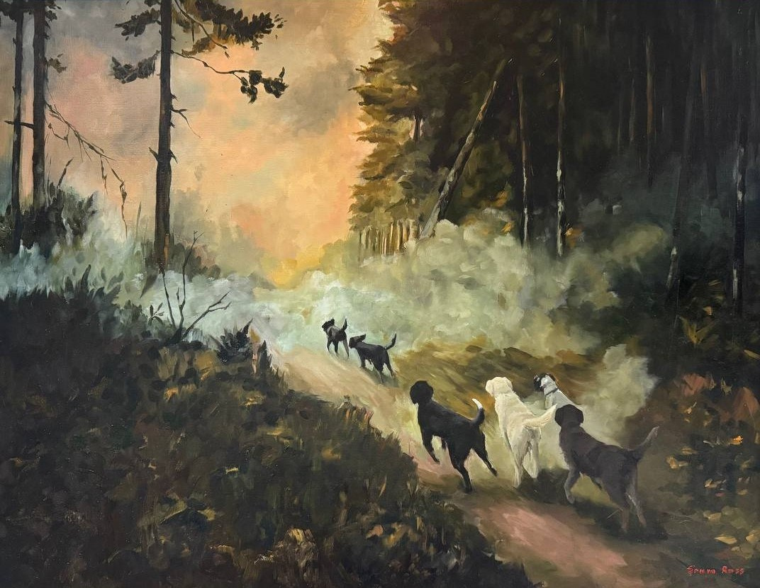 Картины. Художник Sonya Ross