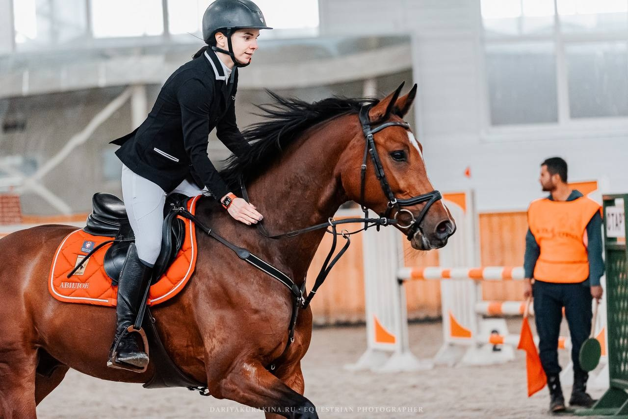ОСЕННИЙ КУБОК КСК «КОНКОРД» по КОНКУРУ. Куракина Дарья • Конный фотограф