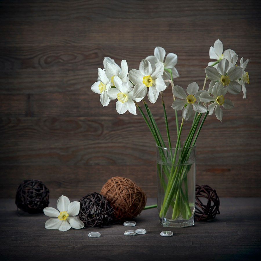 Цветы. Фотограф Мария Кольцова