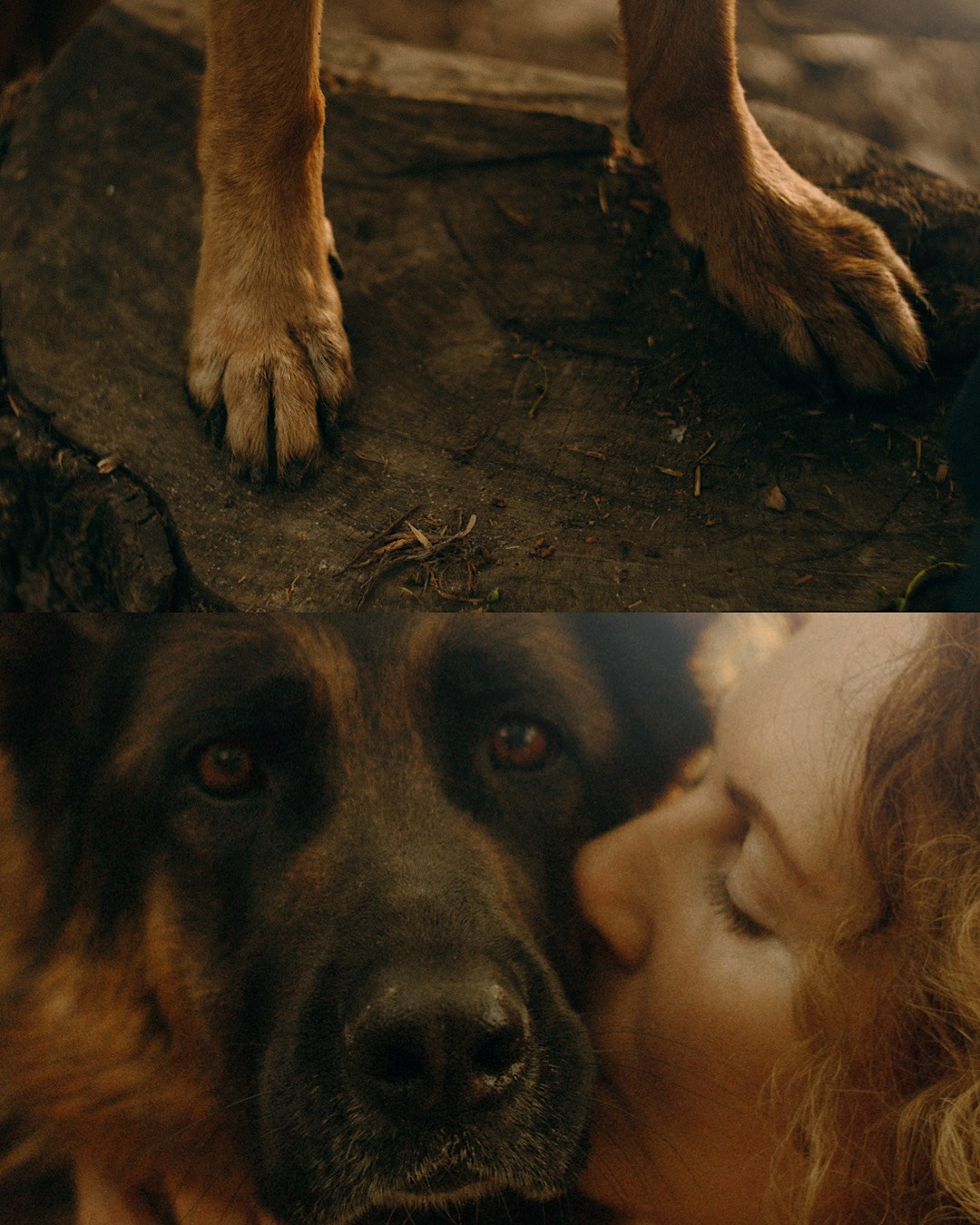 Людмила и Марта. Фотограф анималист в Москве и Санкт-Петербурге Свиридова Анна