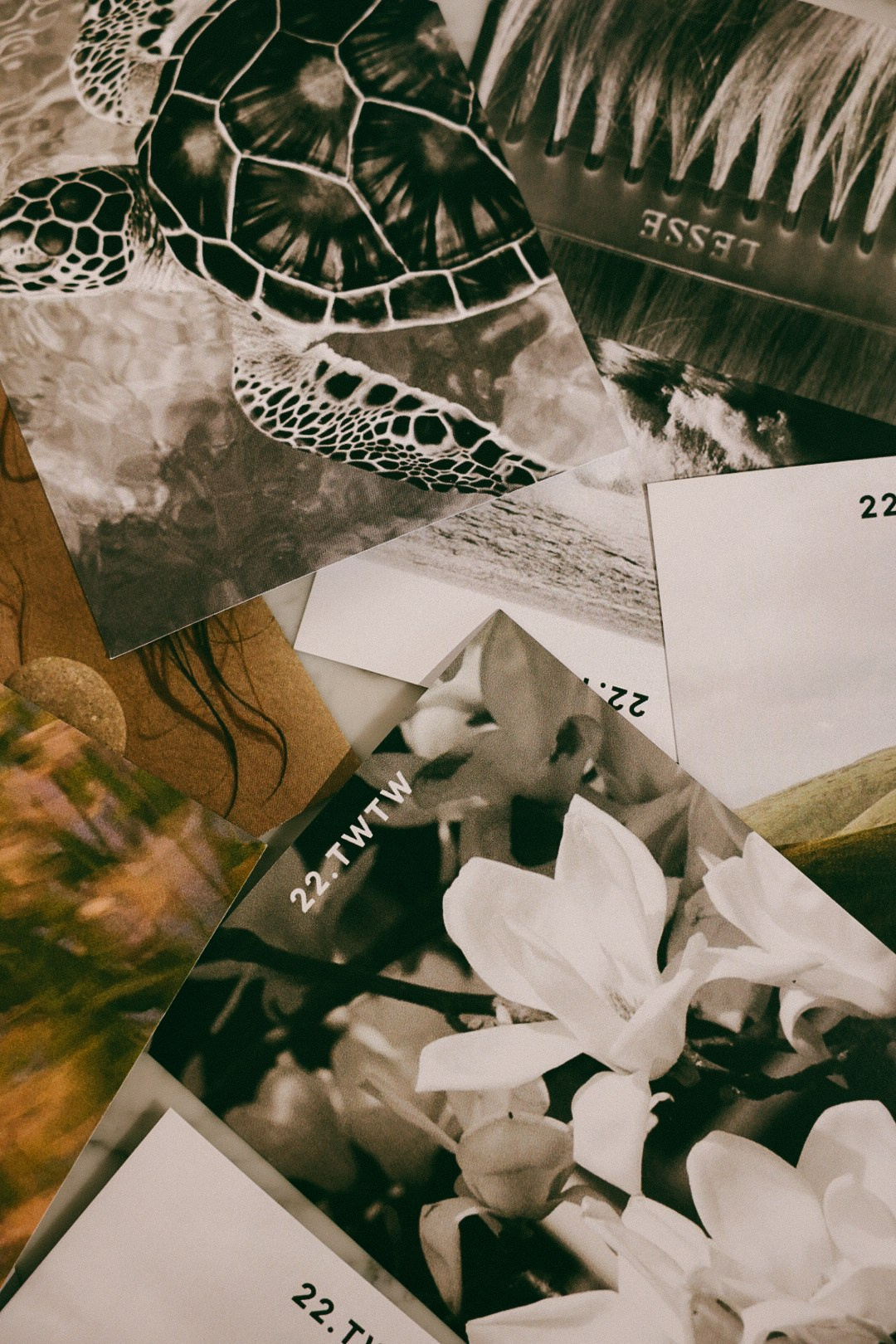 Мята. Фотограф Нижний Новгород