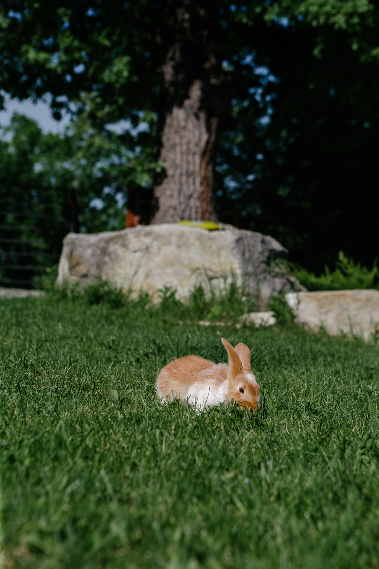 Елизавета и Дмитрий. Свадебный и семейный фотограф в Самаре