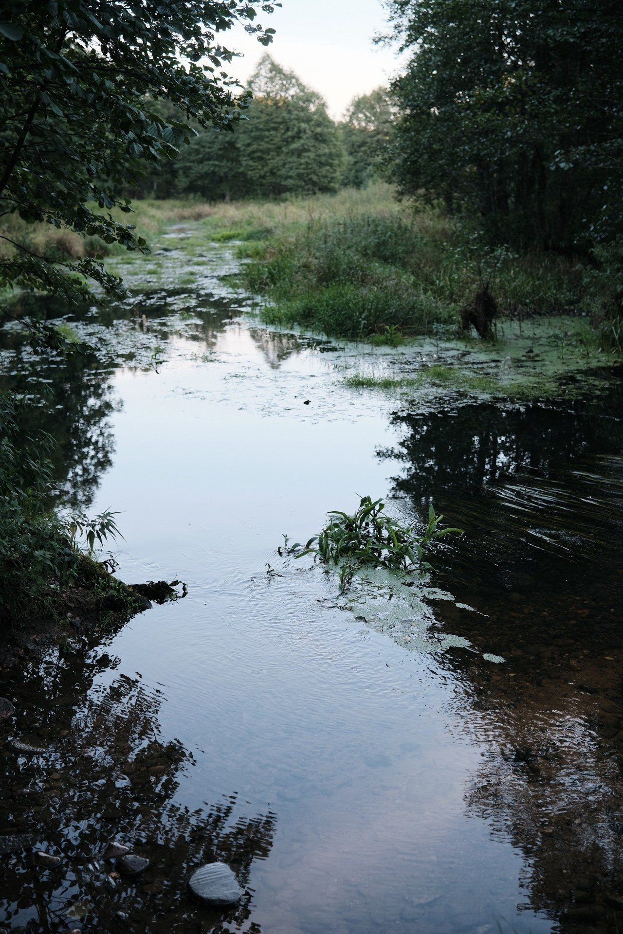 Отзывы. Репортажный фотограф Дмитрий Литвинский. Минск, Беларусь, мир