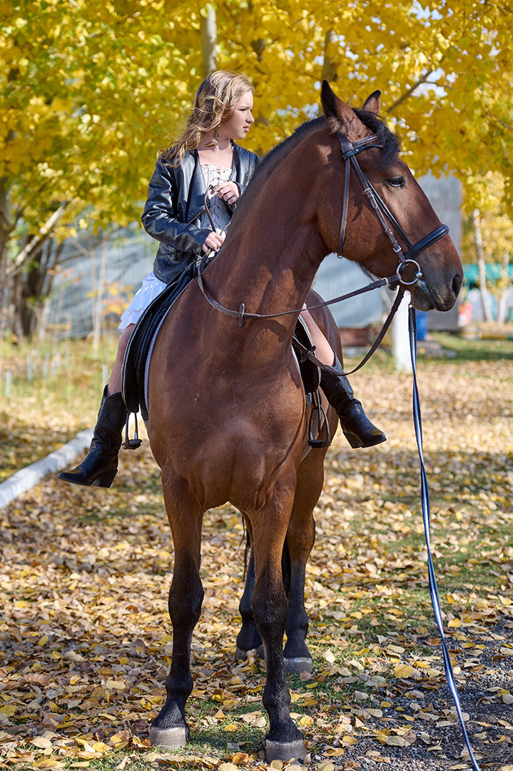 Девочка катается на лошади верхом в парке.