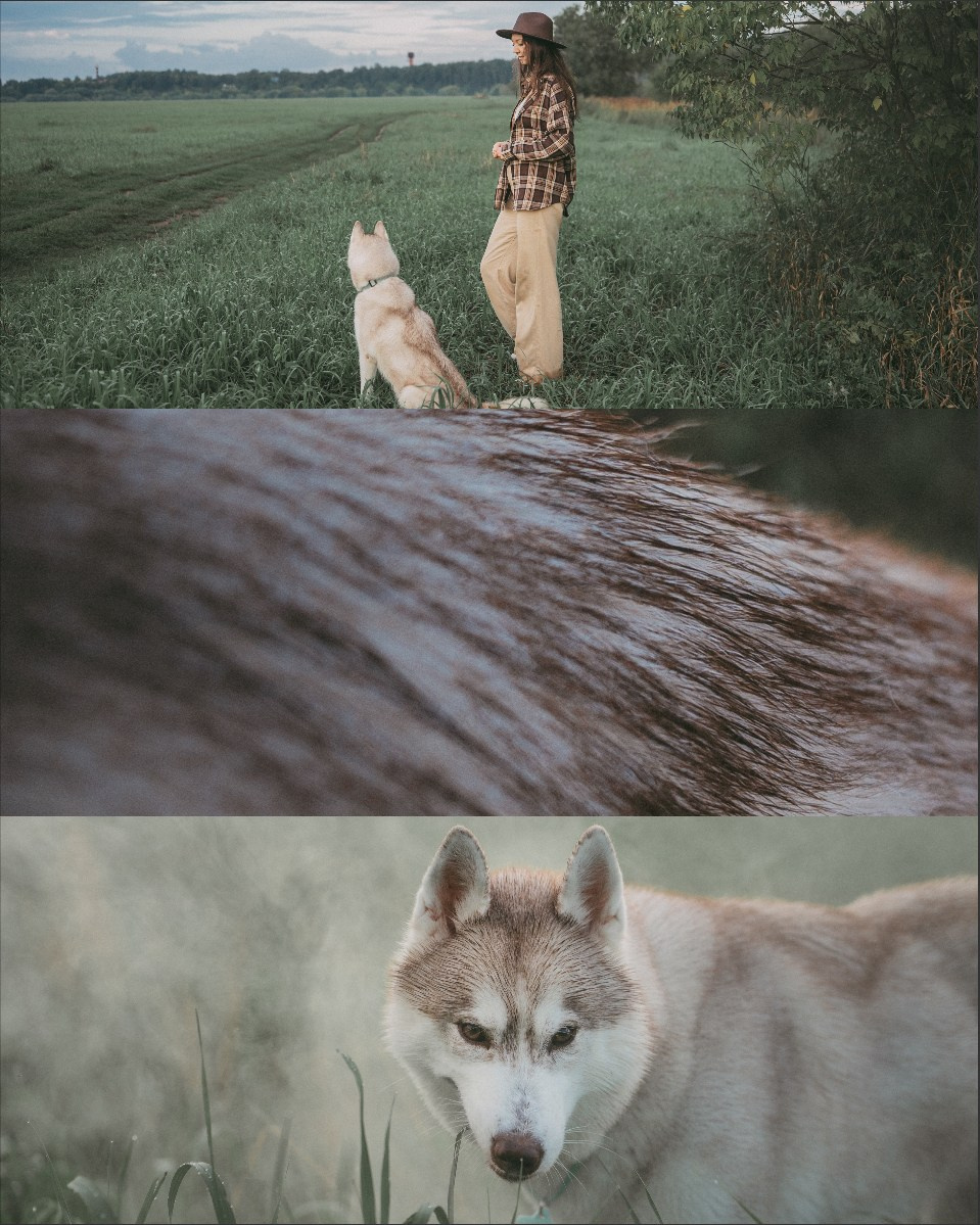 Мария и Джесси. Фотограф анималист в Москве и Санкт-Петербурге Свиридова Анна