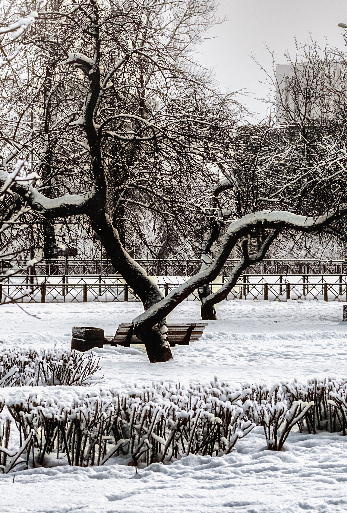 Пейзажи. Пейзажный и семейный фотограф в Санкт-Петербурге Александр Белов