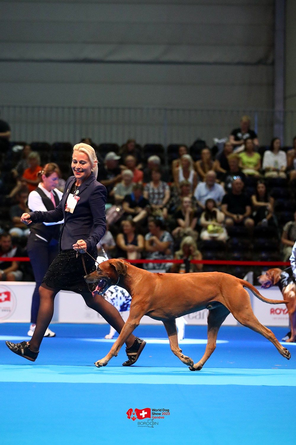 24-27.08.2023 WDS Geneva. Фотограф Дмитрий Бородин