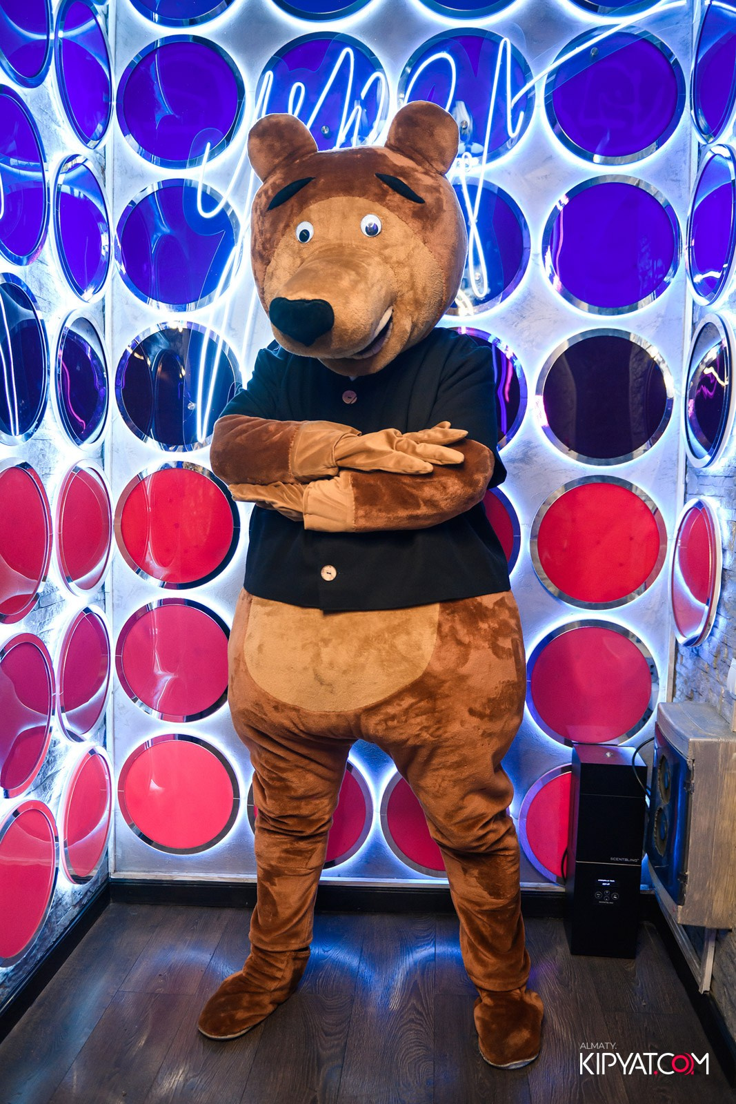 УХО И МЕДВЕДЬ НА ГАГАРИНА. КИПЯТКОМ АЛМАТЫ!