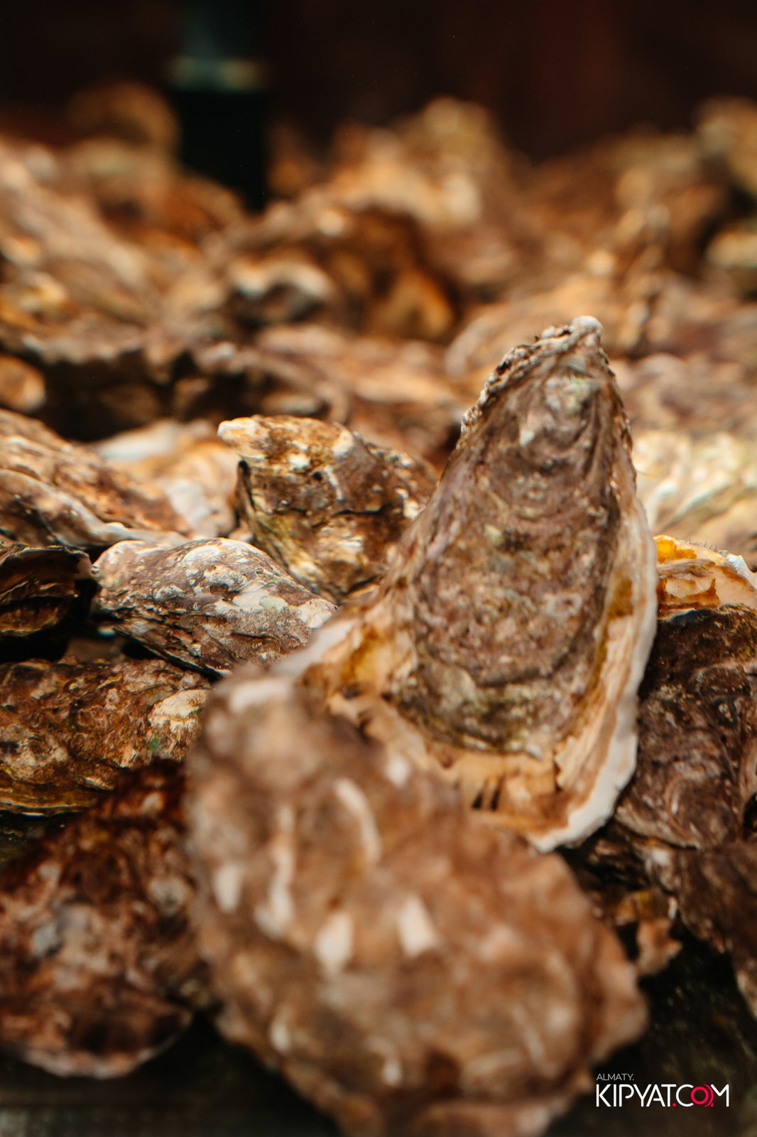 ДЕНЬ СВ.ВАЛЕНТИНА В РЕСТОРАНЕ AMICI. КИПЯТКОМ АЛМАТЫ!