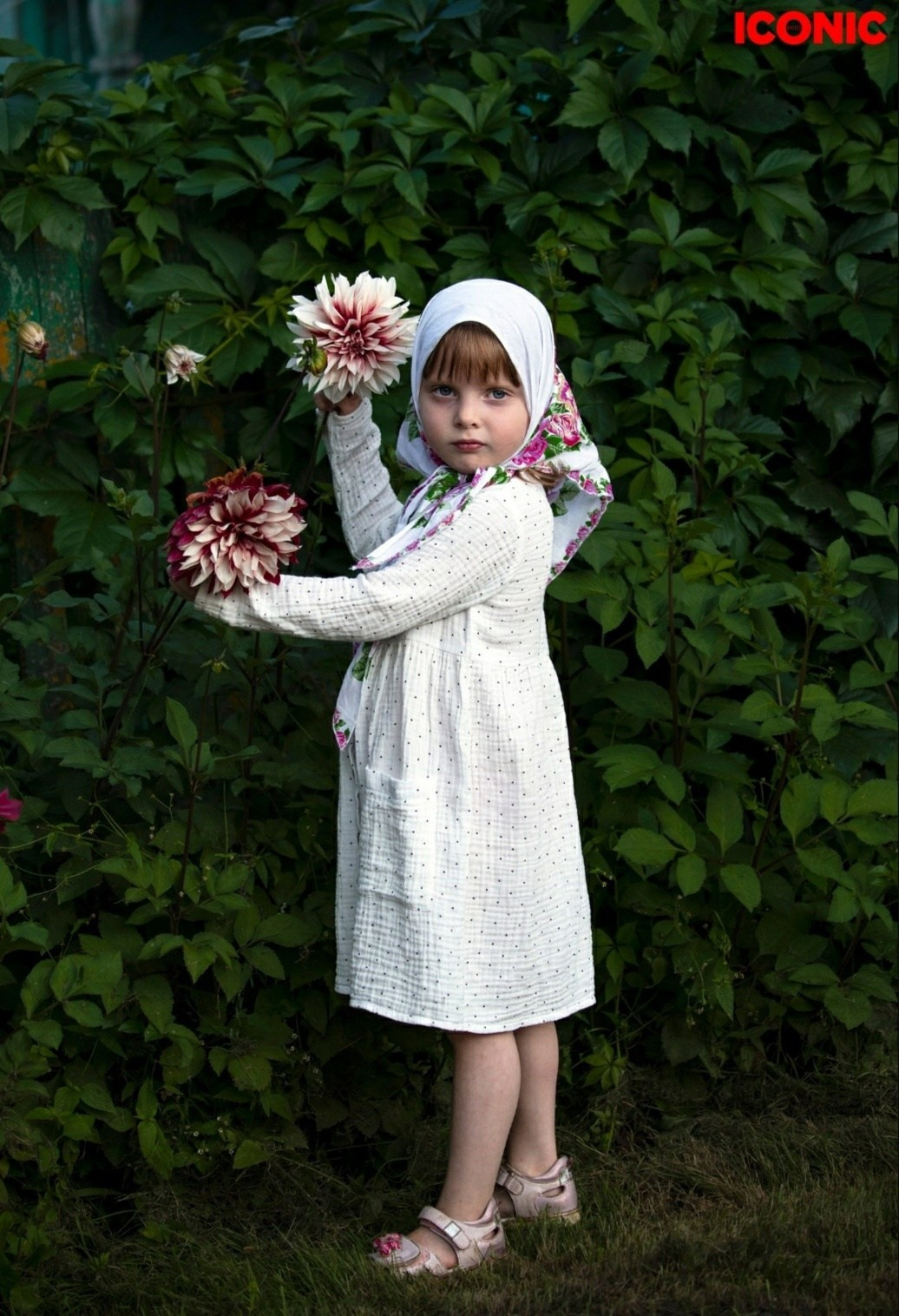 Iconic Artist. Фотографии Лены Соколовой