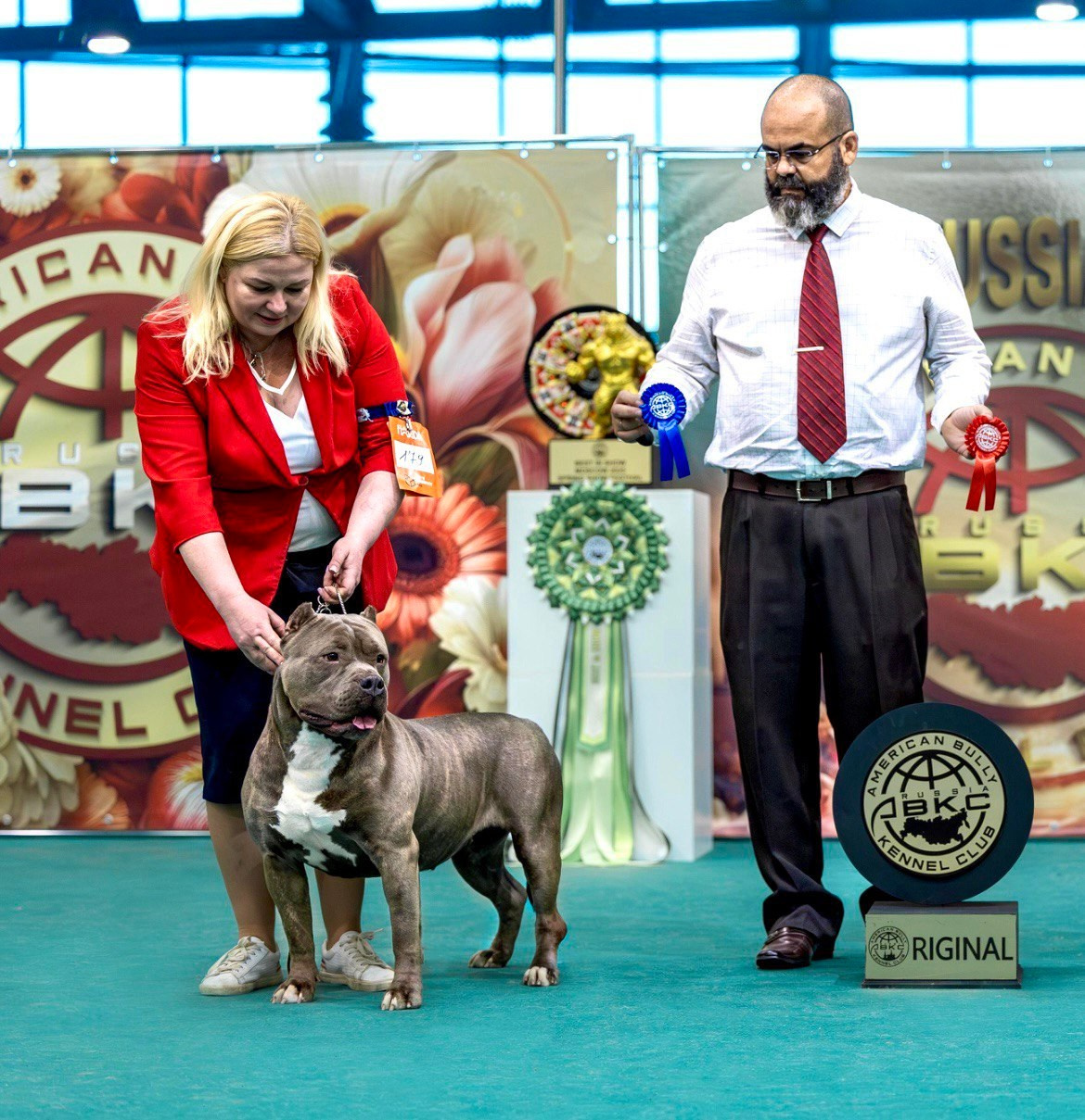 Участие в выставках. Американские булли XL в г. Калининград. Питомник Great Bully UNIVERSE