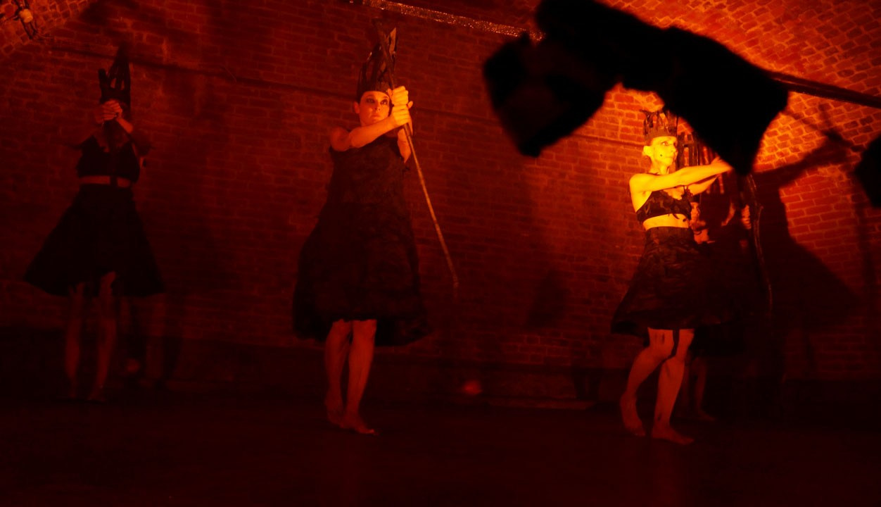 Красное дерево. Фото / Видеосъемка в Москве