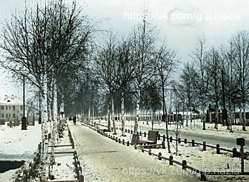 Назия в 1950-х и 1970-х. История Назиевского городского поселения