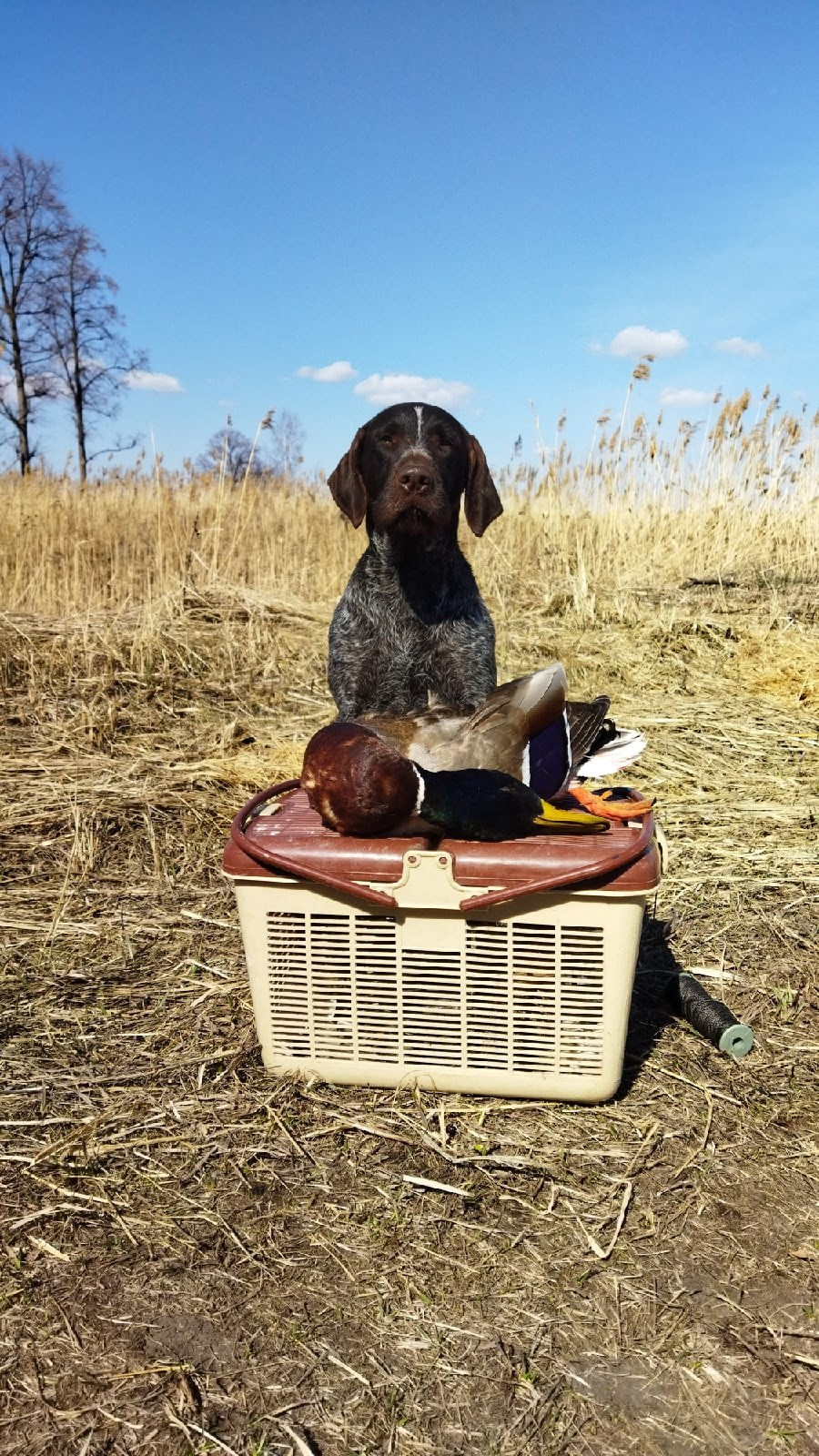 Фотографии. Главная