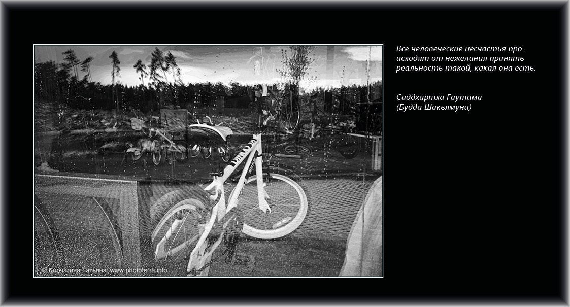 Совет дня — ориентир. Татьяна Корчагина. Фотограф, художник. Обучение фотографии