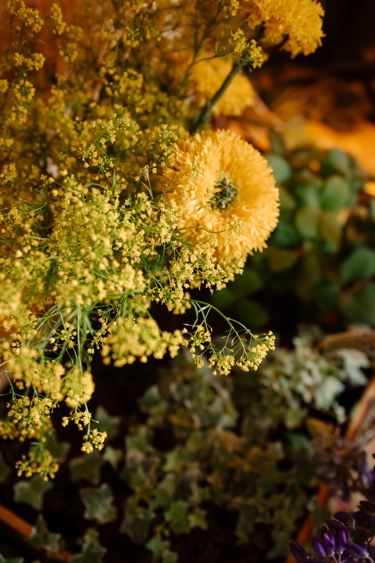 Индивидуальная. С люпинами. Свадебный и сеейный фотограф в Санкт-Петербурге Елена Худякова