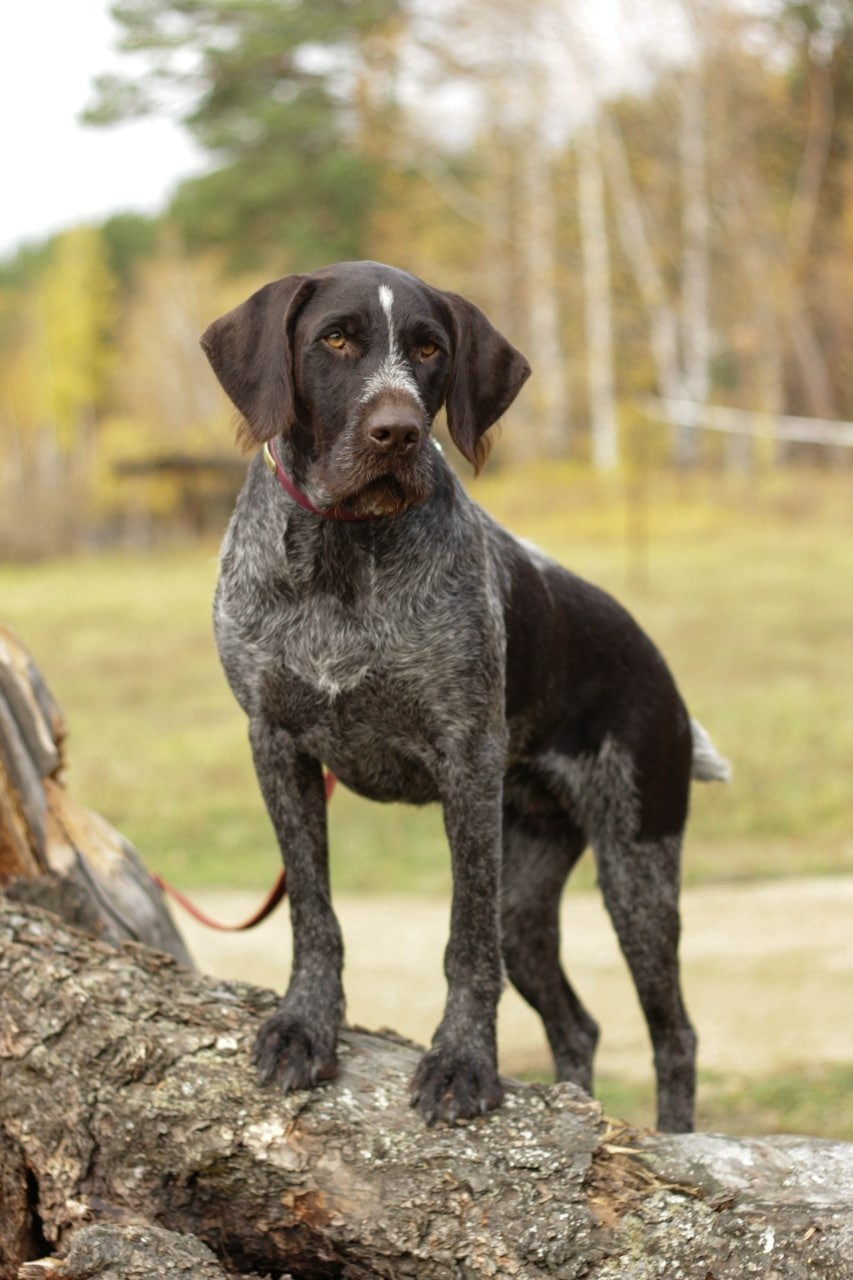Фотографии. Главная