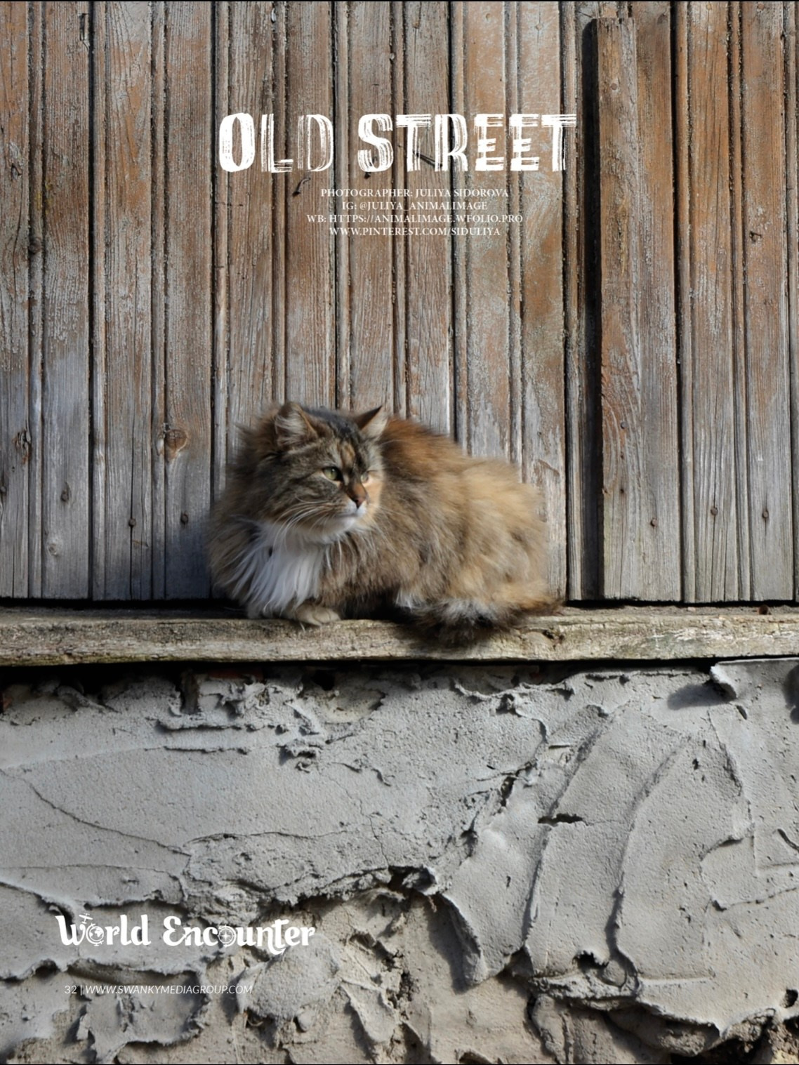 Публикации. Фотограф анималист