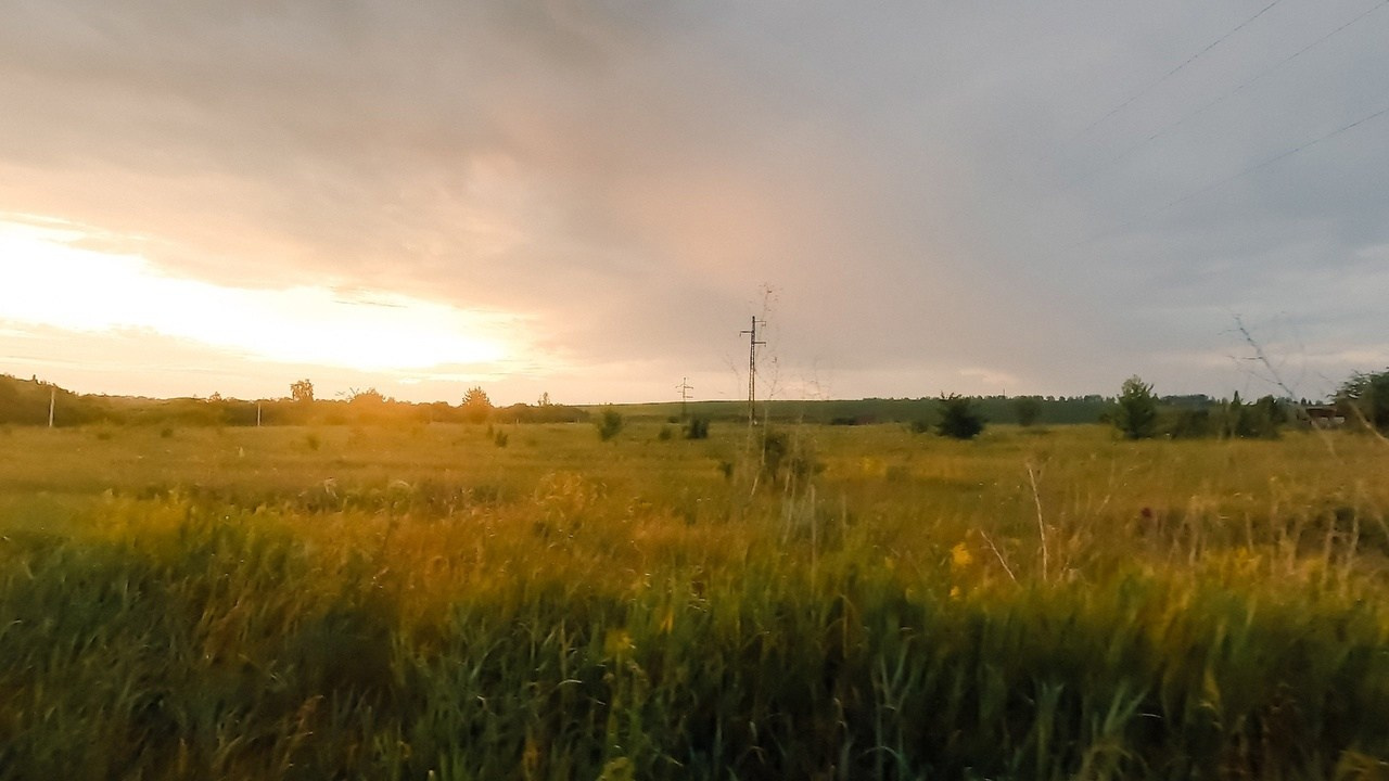 CrazyOwl 50k Running Heroes Russia Воронеж. Белый Колодец. 15-16.06.2024 г. Роман Капилюшов. Бег. Фото. Видео. г. Люберцы