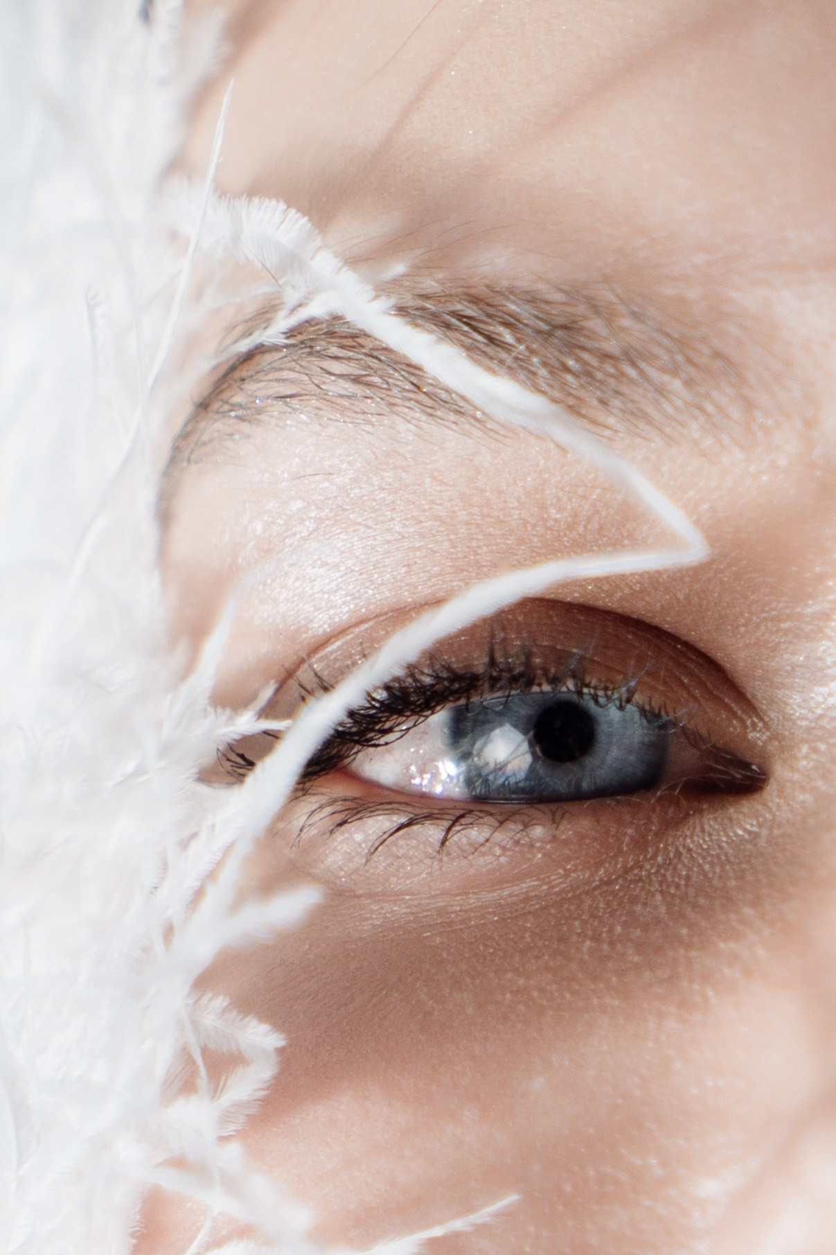 Алёна. Свадебный и репортажный фотограф видеограф Брянск/Москва