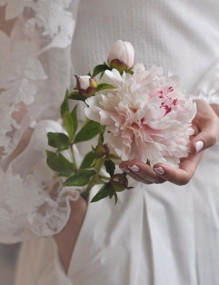 Фотопроект PEONY. Бусова Анастасия — фотограф беременности и женского портрета — Томск