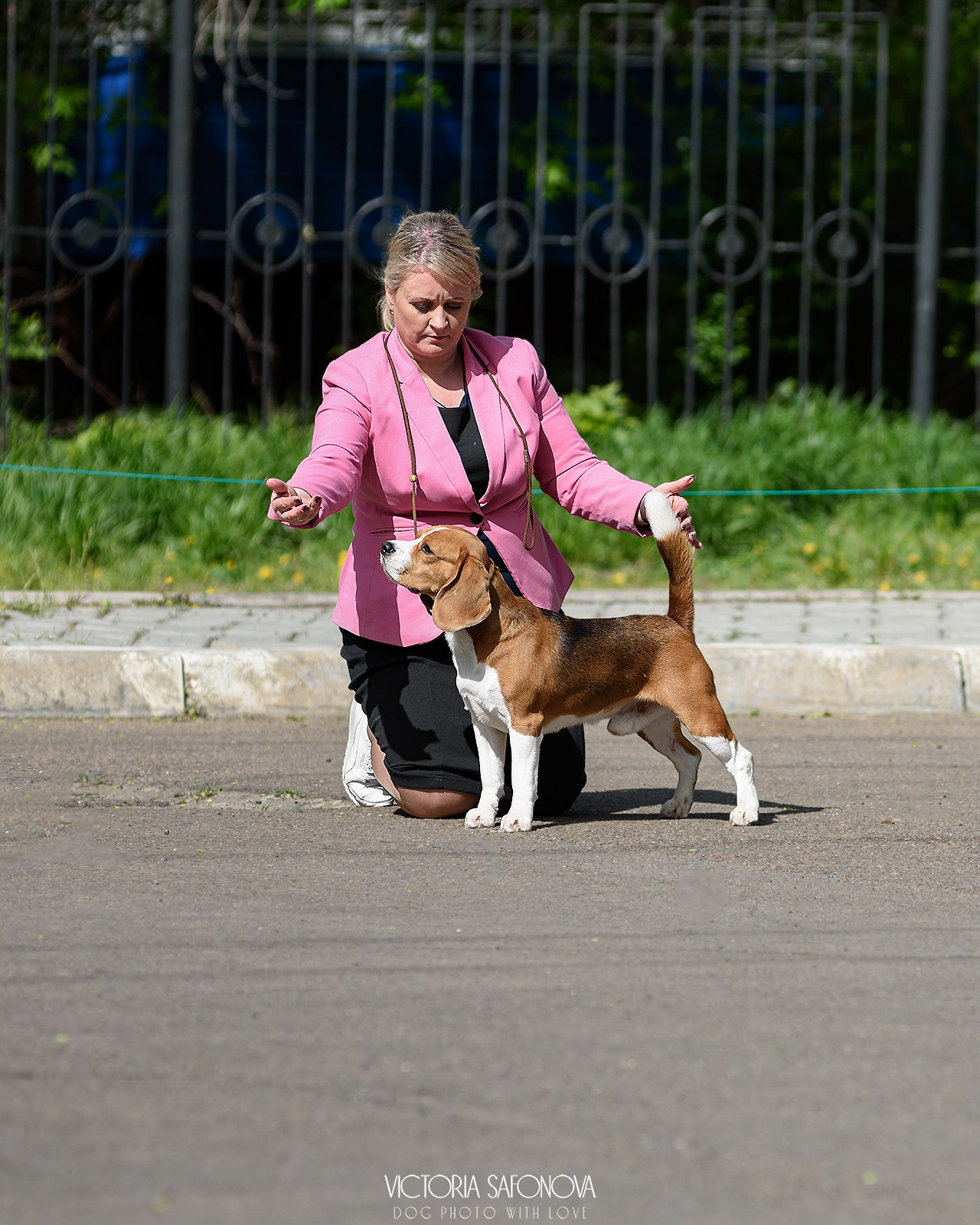 18–19 мая 2024 Благовещенск. Фотограф анималист Благовещенск. Сафонова Виктория