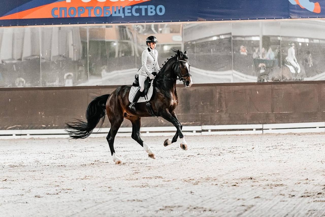ВЕСЕННИЙ КУБОК КСК «УРОЖАЙ» по ВЫЕЗДКЕ на призы ФСОП «РОССИЯ», II этап. Конный фотограф Куракина Дарья • Фотосессии с лошадьми