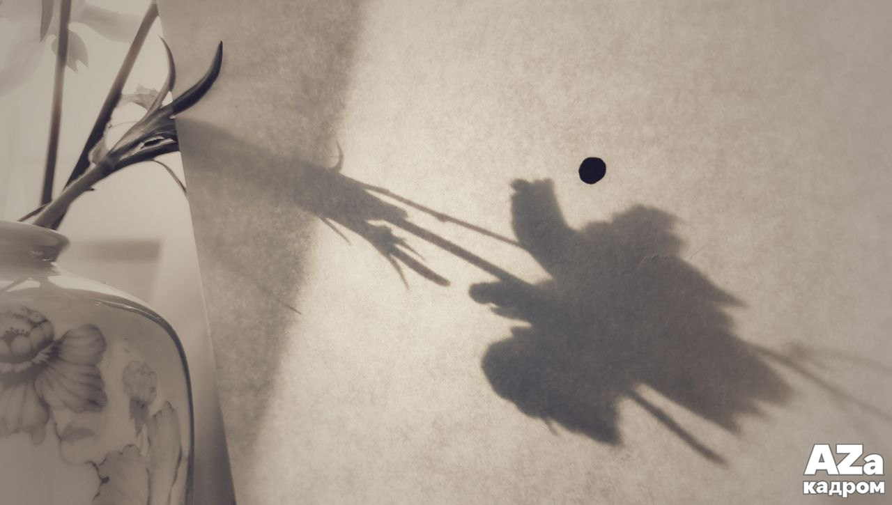 AZакадром «Что для меня дом». Женский семейный фотограф Тула Москва Захарова Анна