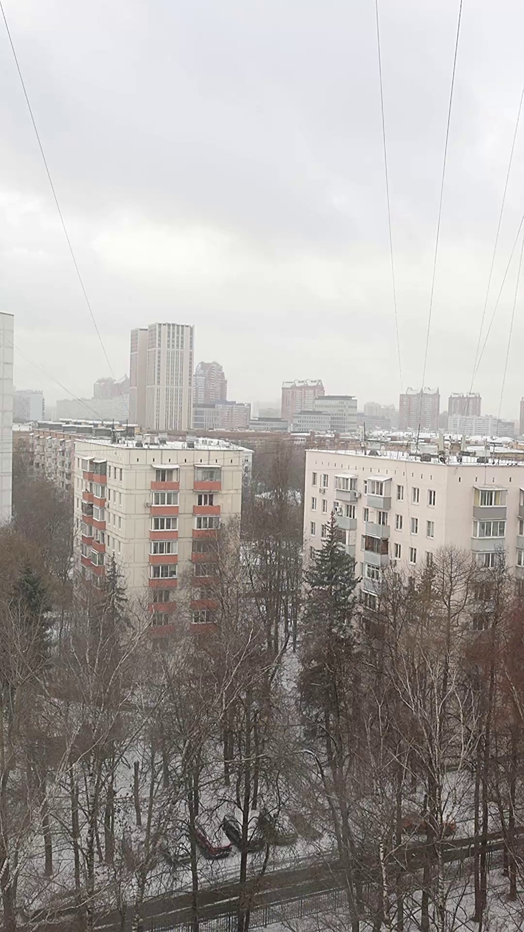 Второй Новый год Алексея Алексеевича. Семейный фотограф в Москве Марина Аргунова