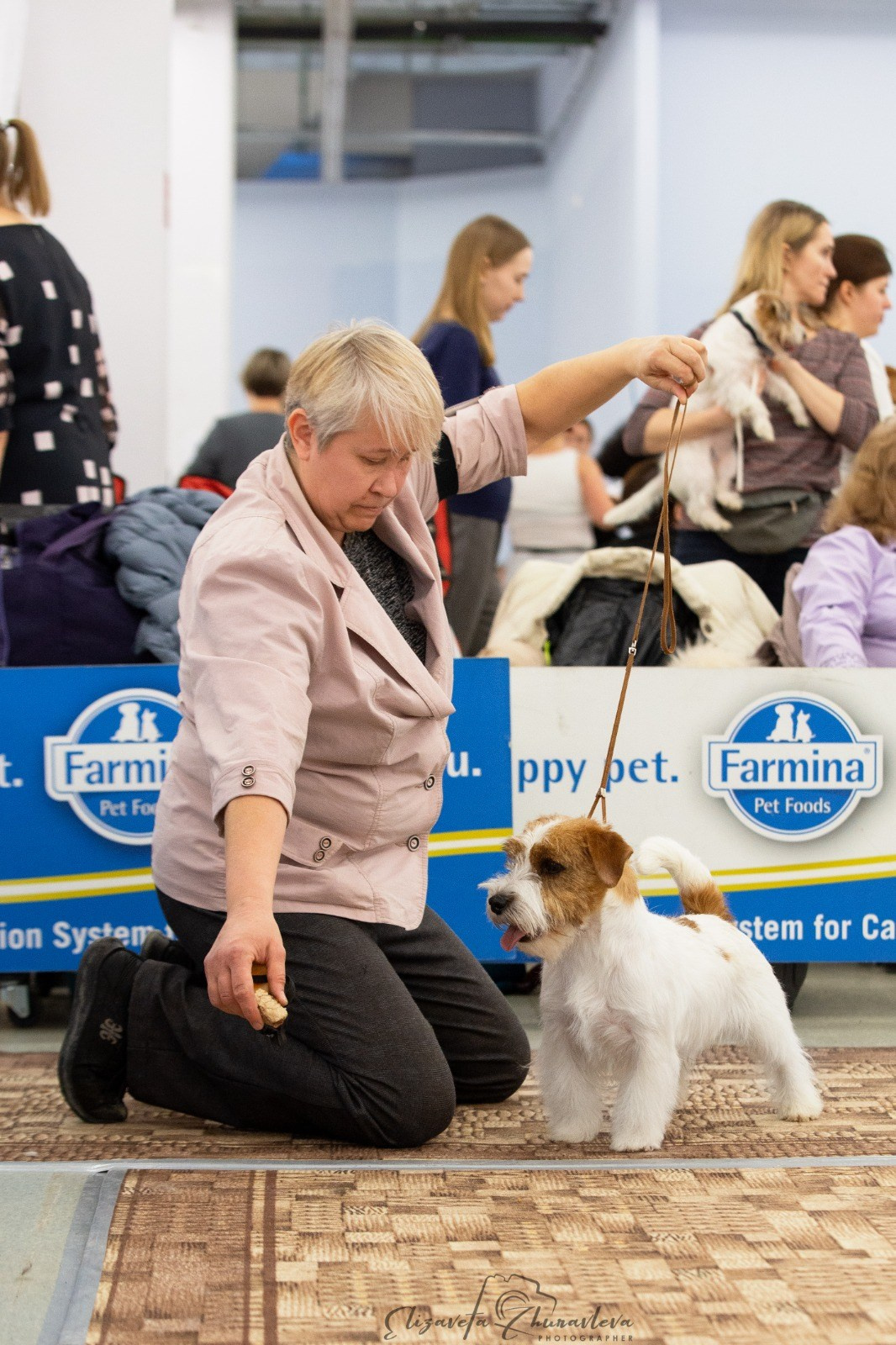 Port Fortis Zoom Zoom