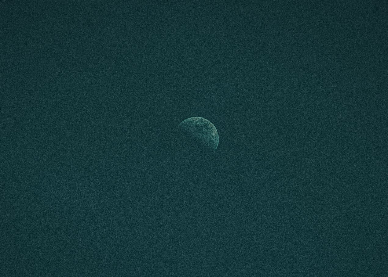 Выборг. Портретный фотограф DanilNabody