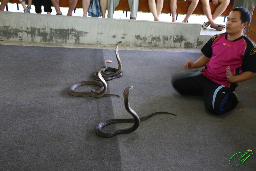 Тайланд. Пхукет 2013. Улица, люди, жизнь…