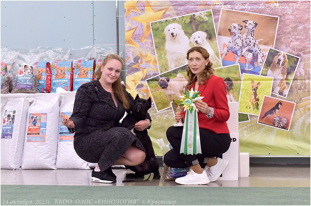 Репортаж. Фотограф анималист | семейный Юлия Вакуленко, г. Краснодар