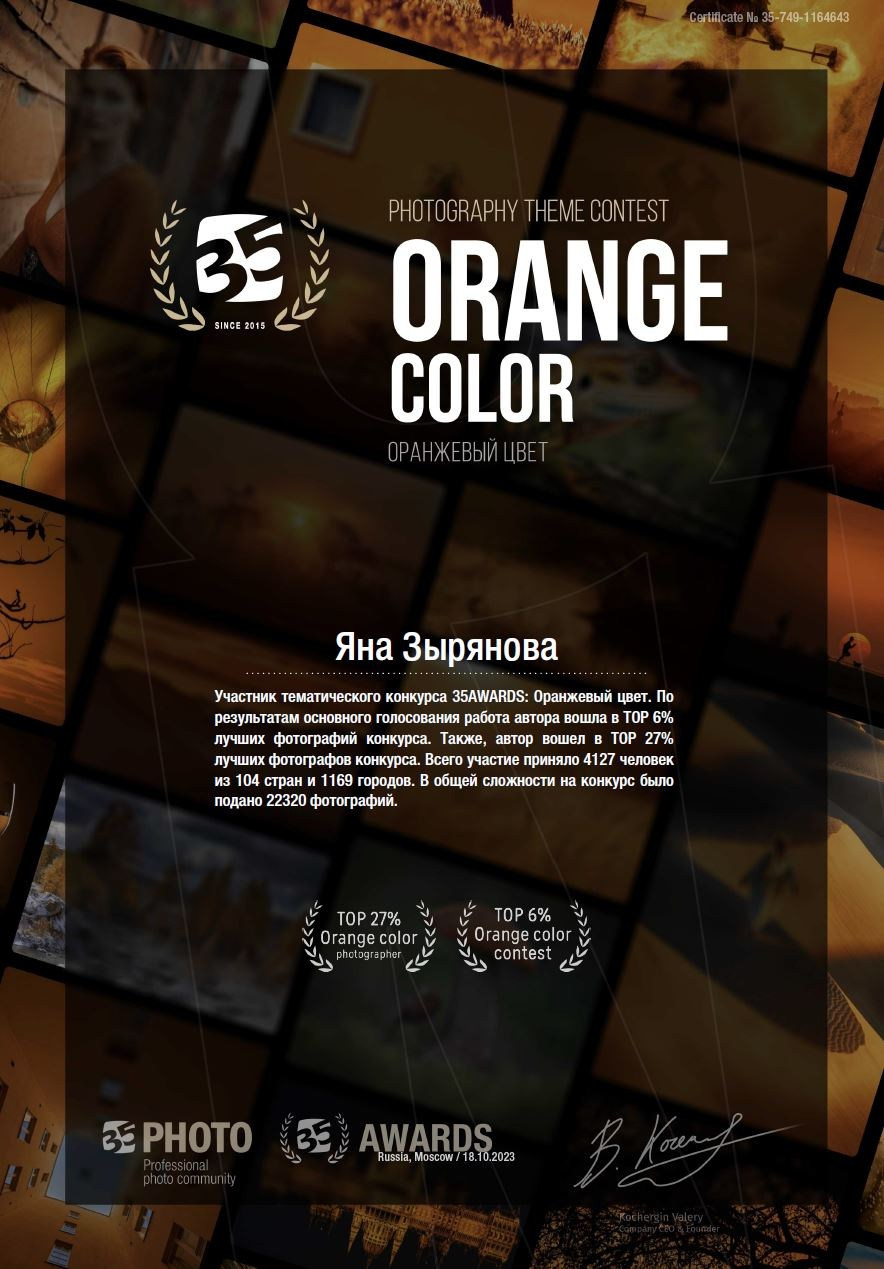 Дипломы. Фотограф Зырянова Яна, Снежинск, Екатеринбург, Челябинск