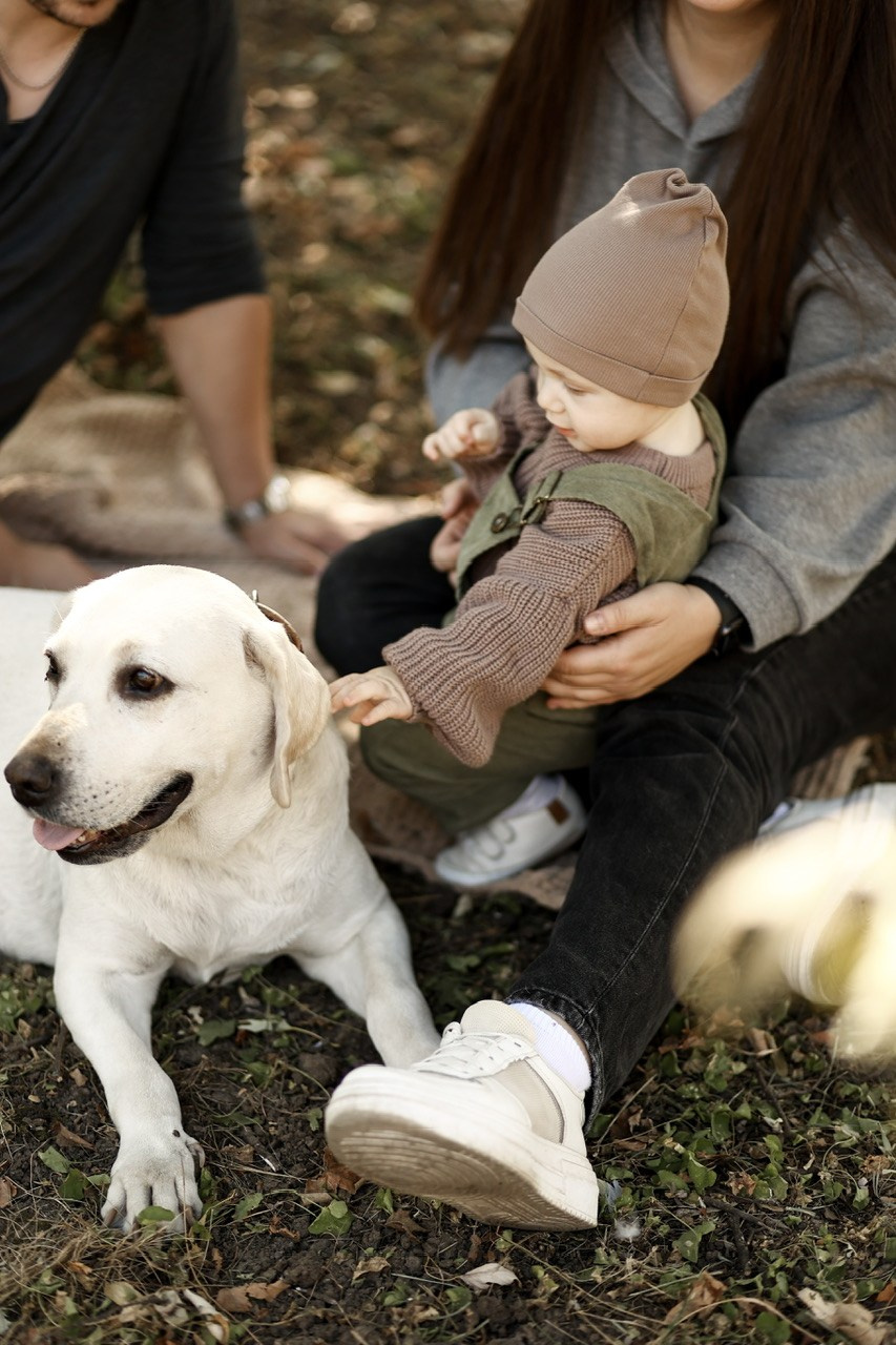 Семейная фотосъёмка студия/ прогулка. Мишугина Ольга Фотограф новорожденных, семейный и детский фотограф