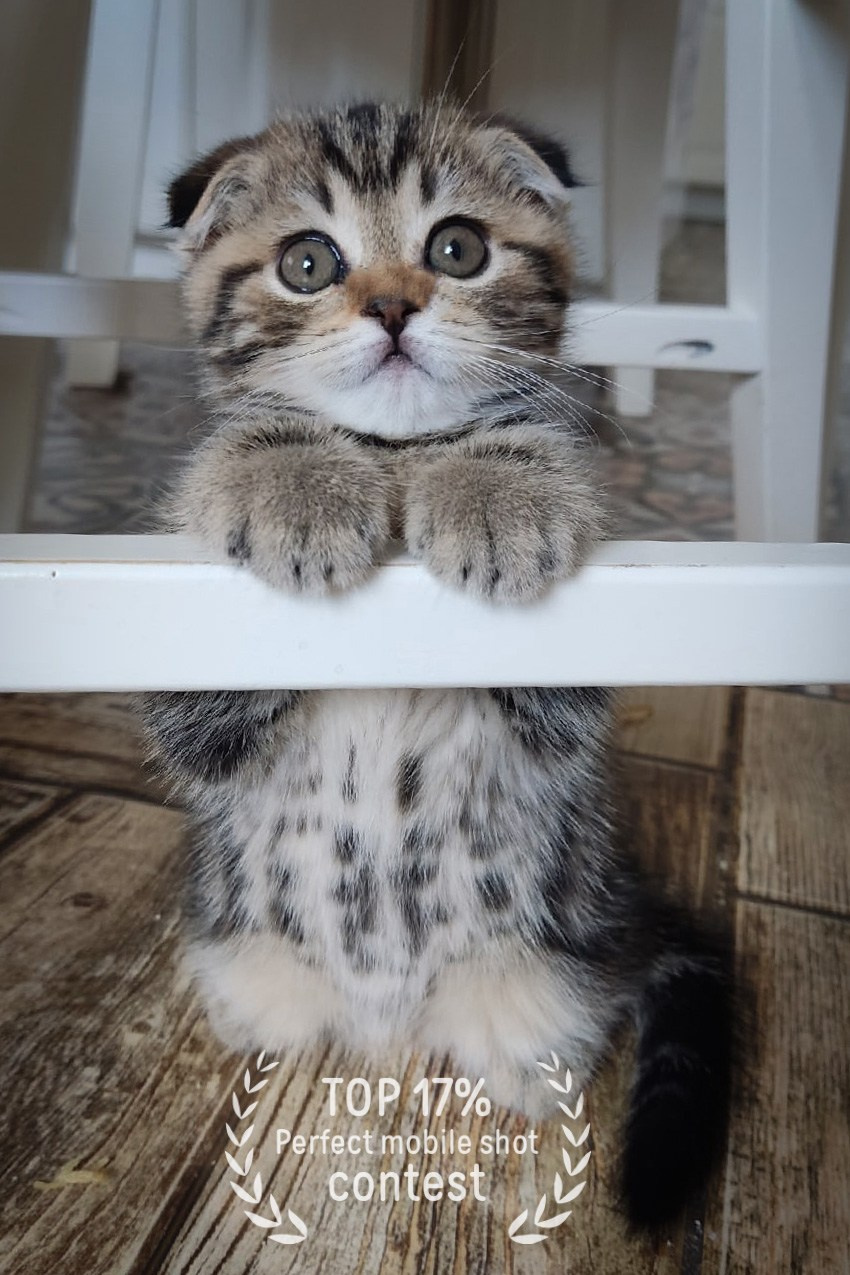 Фотопремия 35AWARDS. Фотограф в Самаре