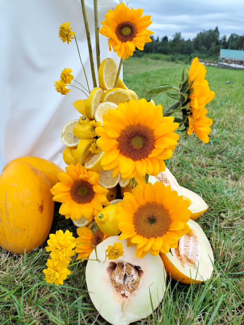 цветы на заказ. цветы. флорист дизайнер. клиентский сервис. головинский район. сао. флорист ховрино. флорист головинскийрайон. флорист клин. оформление цветами. цветочное оформление. оформление живыми цветами. современная флористика. камерная свадьба. большая свадьба. флорист на свадьбу москва. декоратор на свадьбу. концепция свадьбы. ручная работа. маленькая свадьба. бюджетная свадьба. дорогая свадьба. работа на заказ. живые цветы. украшение живыми цветами