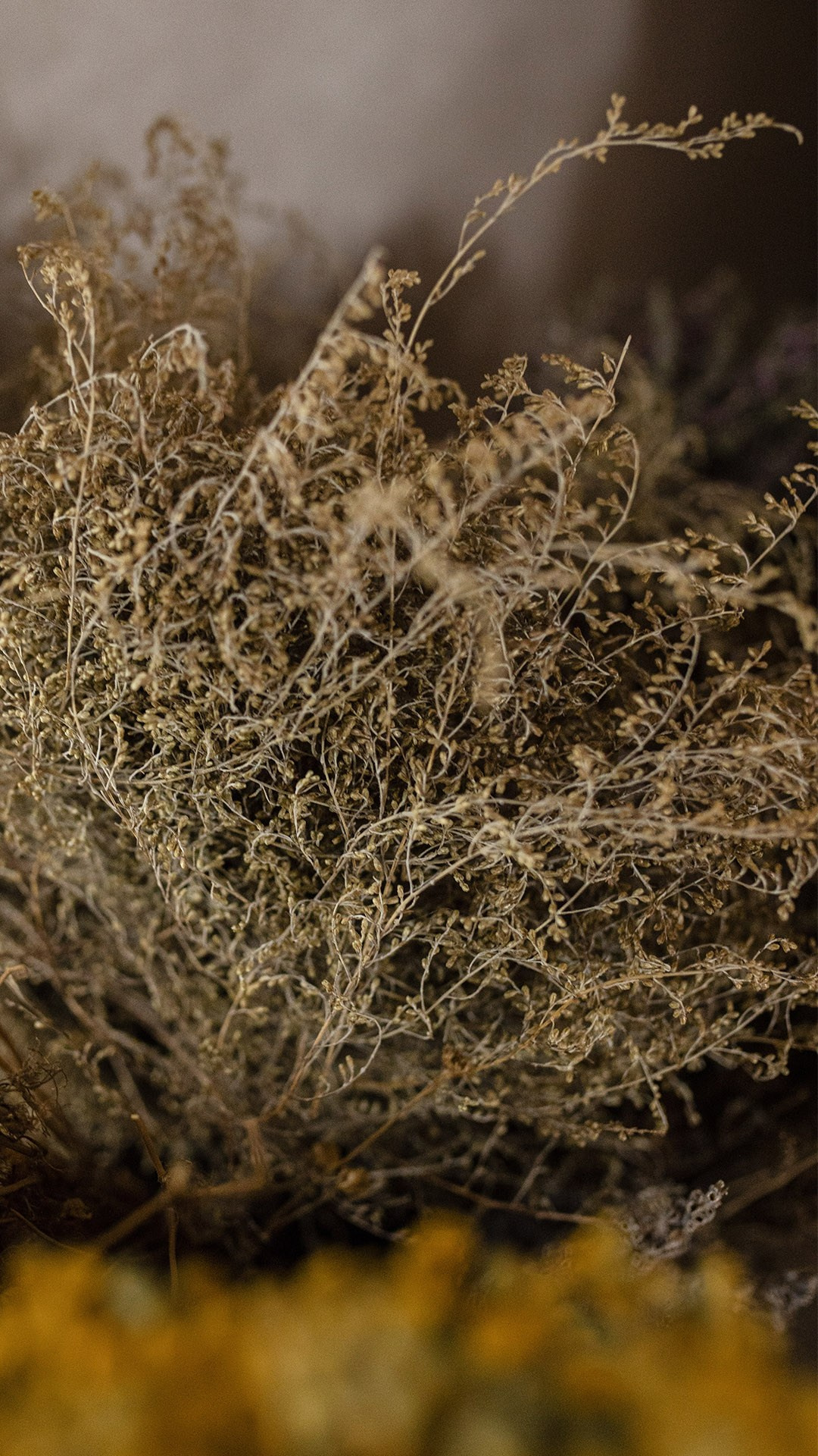 «Голос тела» Виктория Лайнер. Ольга Пилант. АРТ, бэкстейдж, свадебная и семейная фотография, городской портрет, интерьерная фотография