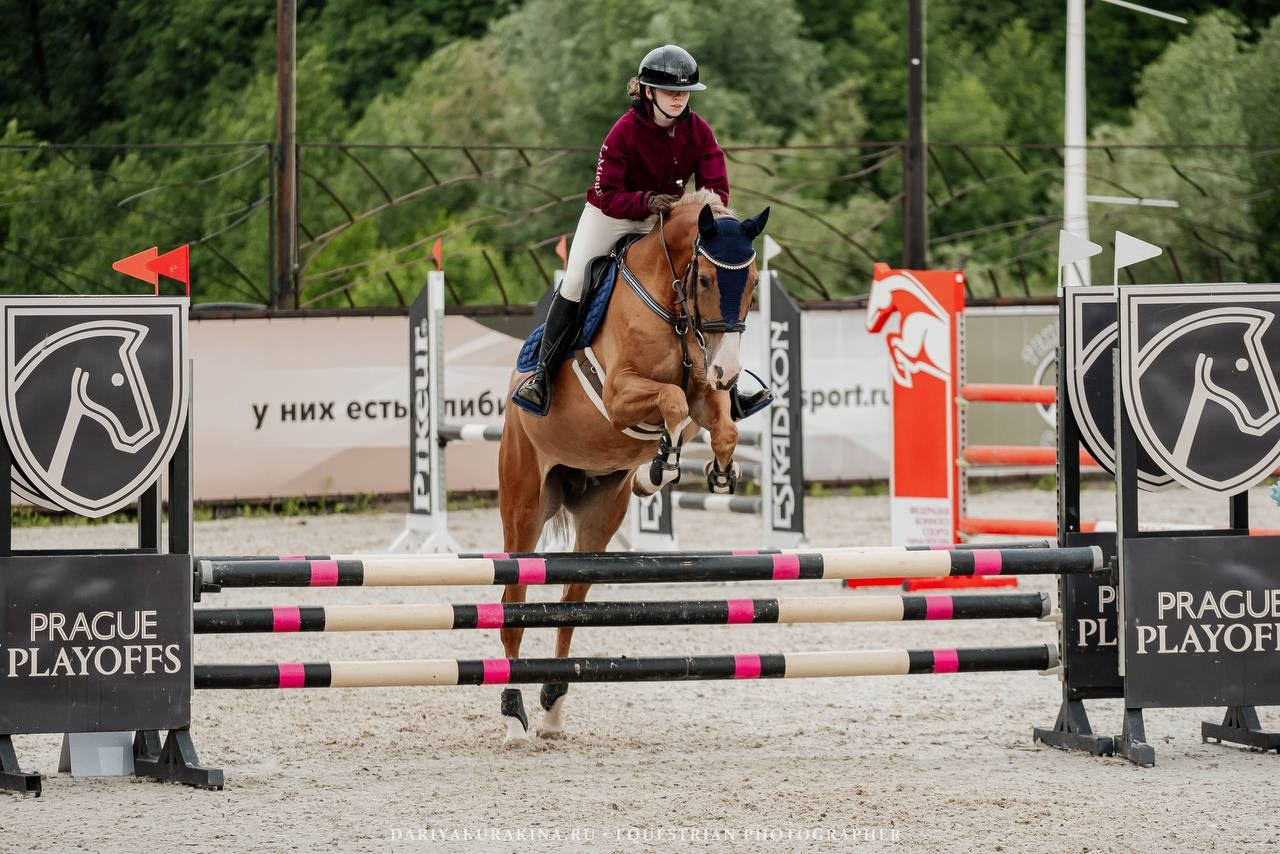 «КОМАНДНЫЙ ДРАЙВ» — 1 этап. Куракина Дарья • Конный фотограф
