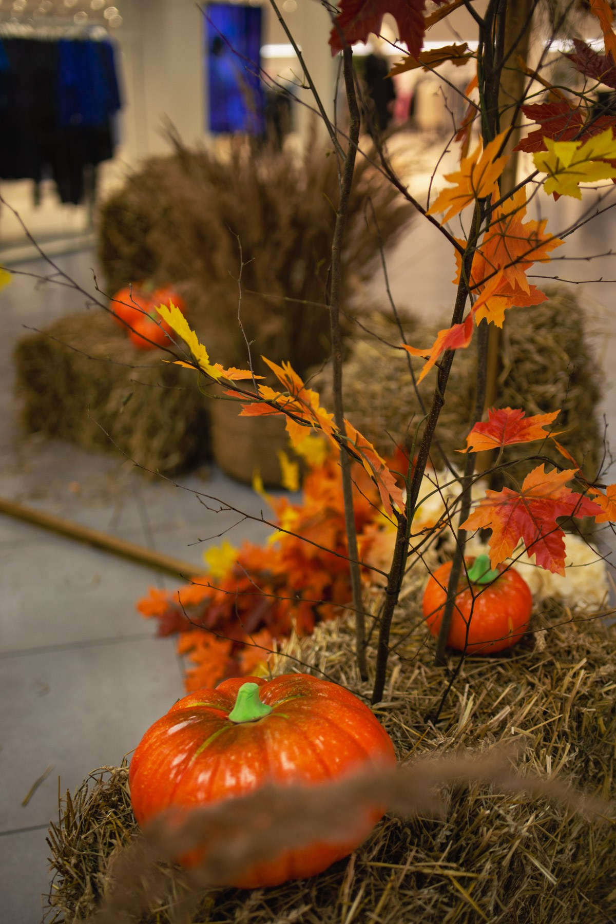 Осеннее чаепитие в ТЦ Хорошо!. Репортажный и концертный фотограф в Москве Анастасия Осень