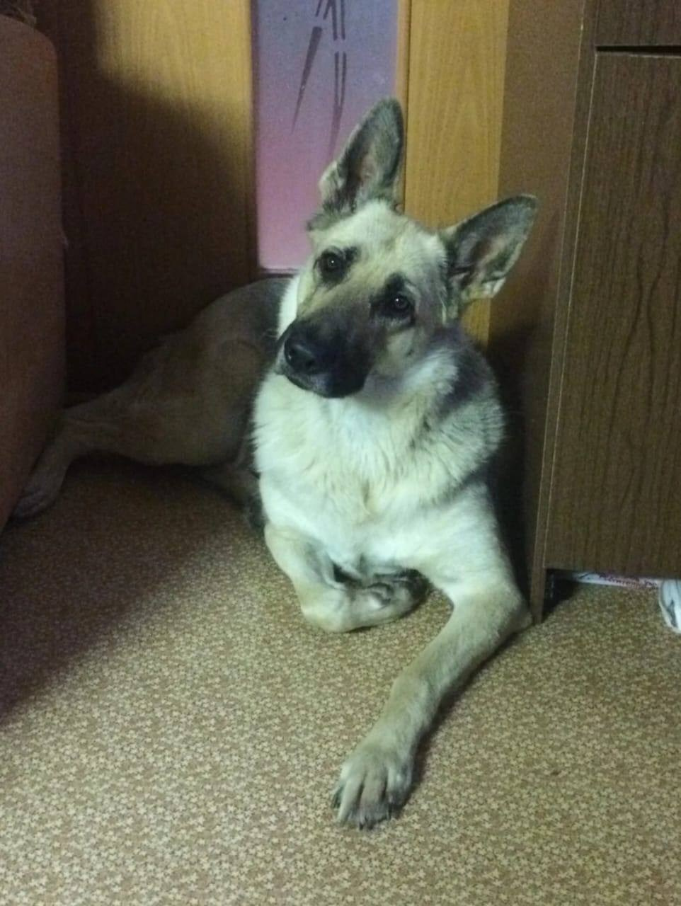 Графический дизайн. Силантьева Наталья фотограф