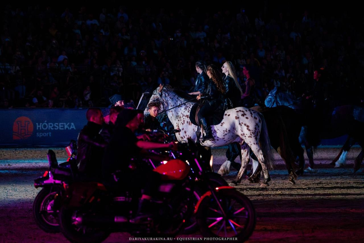 Иваново Поле — 2025. Куракина Дарья • Конный фотограф