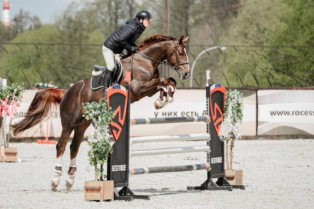 МУНИЦИПАЛЬНЫЕ СОР-Я ПО КОНКУРУ, ПОСВЯЩЕННЫЕ ДНЮ ПОБЕДЫ — ВИВАТ!. Куракина Дарья • Конный фотограф