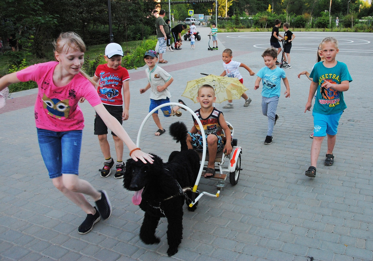 Праздник с пуделем. Фотостудия Портрет Свадебный и семейный фотограф в Рязани
