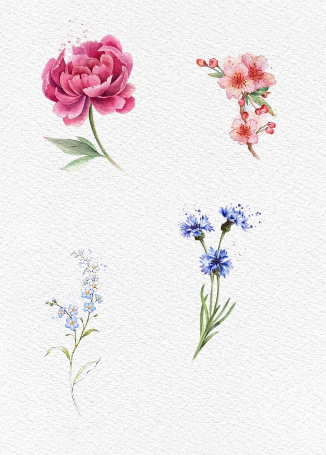 Екатерина Долгих. Обучение тату Хабаровск. Диплом гос.образца. татуировки Хабаровск