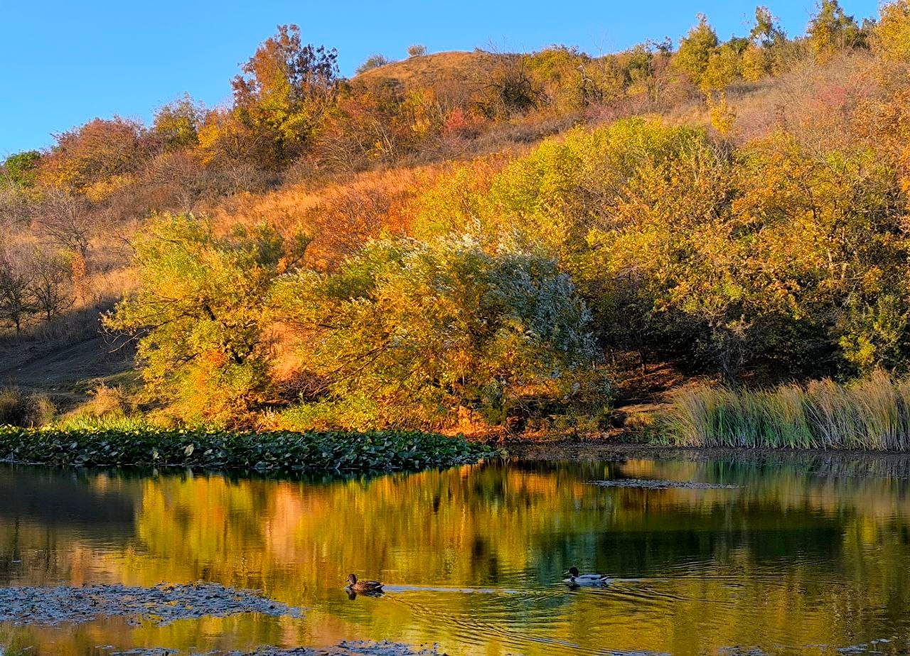 Фотосайт Андрея Прокопенко