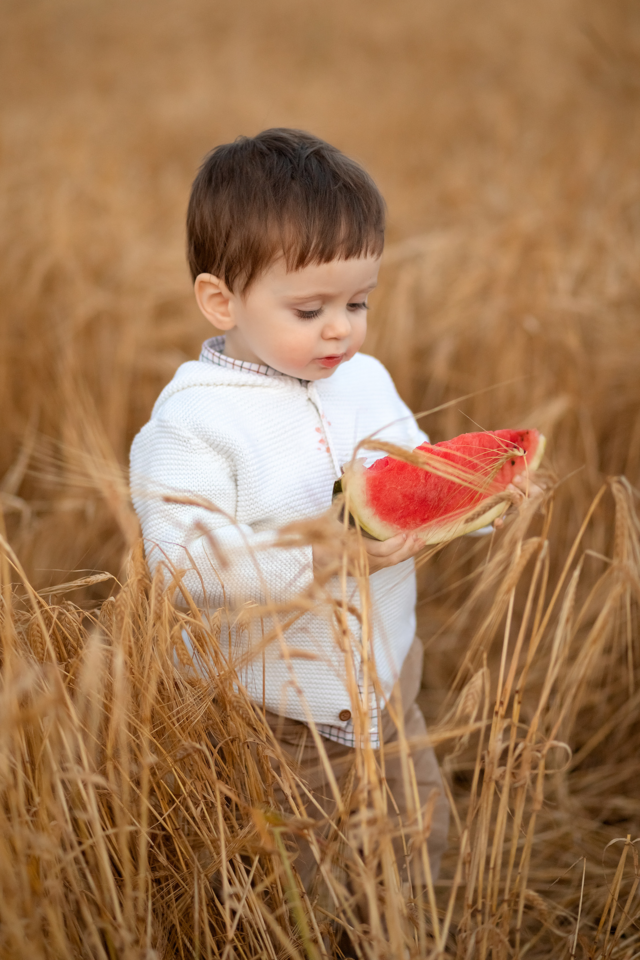 Фотопрогулка. Семейный фотограф в Санкт-Петербурге Анастасия Нечаева